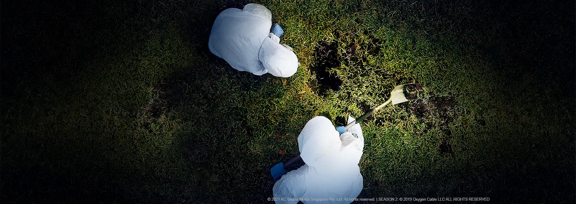Buried in the Backyard
