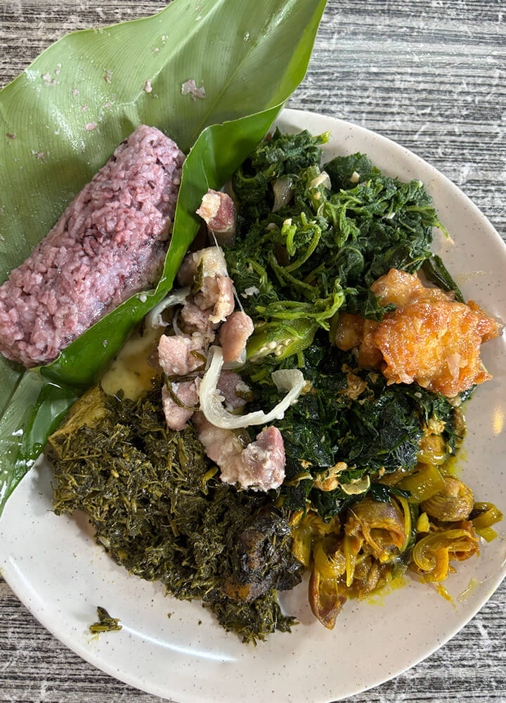 Busang Jelini Long Panai