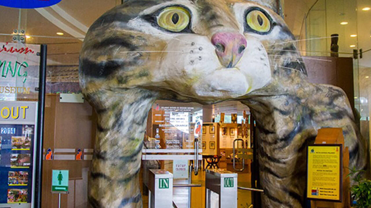DBKU Cat Museum