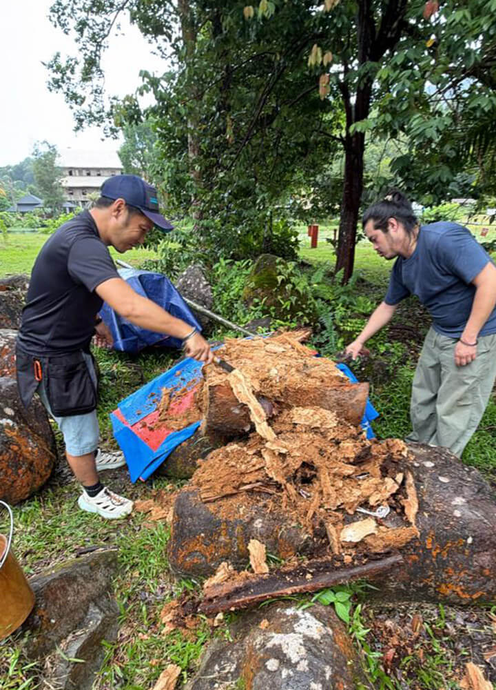 Sarawak Photo 18